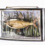 Teca con pesce imbalsamato. Inghilterra, datato 1893